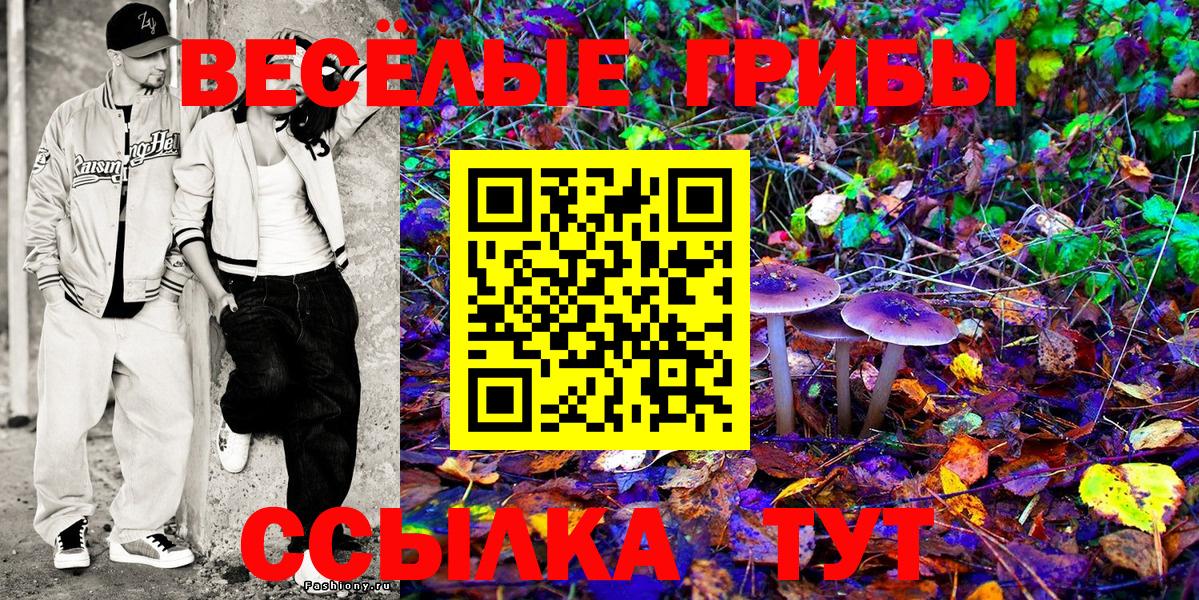 Галлюциногенные грибы ЛСД Аргун