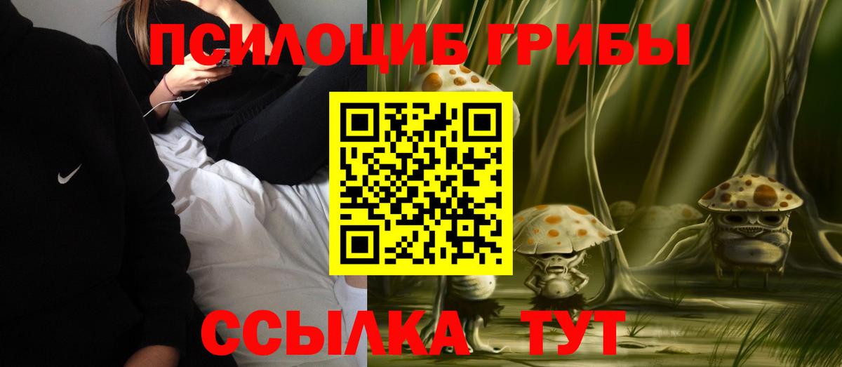 Галлюциногенные грибы Psilocybe  Вход с VPN  дарнет шоп  Аргун 